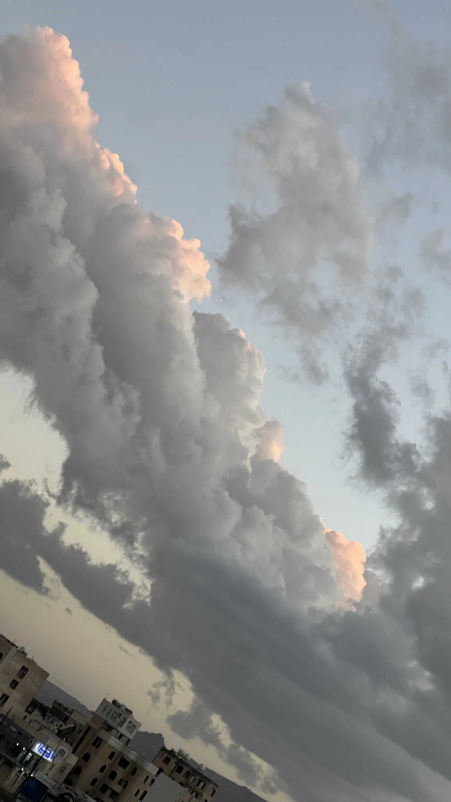 فنجان من التصاميم2